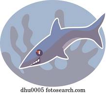 shark