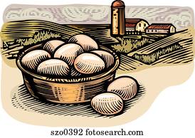 farm fresh eggs