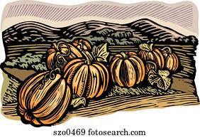 pumpkin patch pumpkin patch