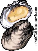 um desenho, de, um, ostra