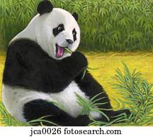 um, ilustração, de, um, panda gigante, urso
