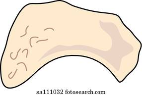 Outline of dorsal view of foot. Stock Illustration | sa304015 | Fotosearch
