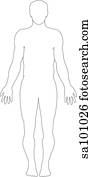 Outline of the full-length figure.