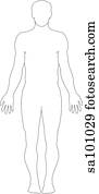 Outline of the full-length figure.