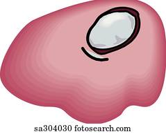 Super Anatomy 3 - stock illustration clip art. Buy royalty free clipart