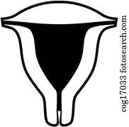 Uterus Illustrations | Our Top 1000+ Uterus Stock Art | Fotosearch