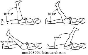 Hamstring flexibility