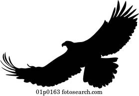 silhueta águia