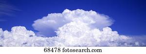 Cumulus Clouds 