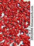 coréia sul, Busan., vermelho quente, pimenta