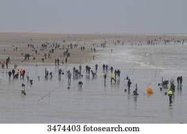 France, Northern France, Calais, fishing contest