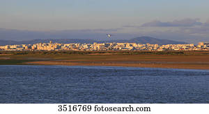 portugal, algarve., faro., ria, formosa