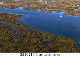 portugal, algarve., faro., ria, formosa portugal, algarve., faro., ria, formosa