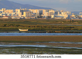 portugal, algarve., faro., ria, formosa