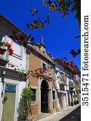 portugal, viana, faça, castelo., rua peão, cidade, center.