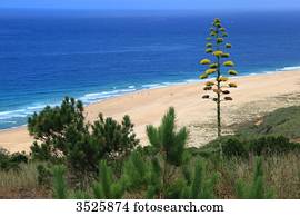 Portugal, Nazare. Praia do Norte. The northern beach.
