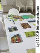 ecologia, desenvolvimento sustentável, relatado, fotografias, ligado, um, tabela