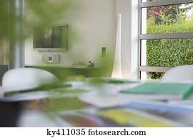 ecologia, desenvolvimento sustentável, relatado, fotografias, ligado, um, tabela