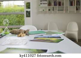 ecologia, desenvolvimento sustentável, relatado, fotografias, ligado, um, tabela