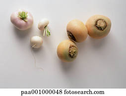 turnips rutabagas vegetables fruit