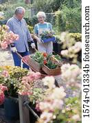 Senior couple gardening