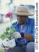 Senior woman gardening