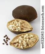 Baobab fruits and seeds