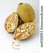 Baobab fruits and seeds