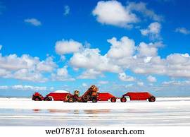 Salt industry, Guerrero Negro, Baja California Sur, Mexico