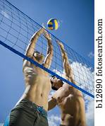 pular, jogadores voleibol