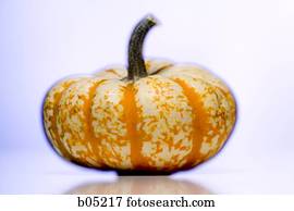 Gourd cutout
