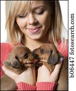 mulher segura, filhotes cachorro