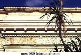 Palm Tree and Colonial Architecture Merida Yucatan