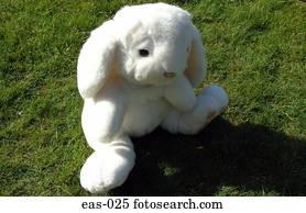 branca, coelho enchido