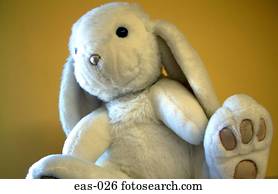 branca, coelho enchido