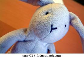 cima, de, brinquedo, coelho