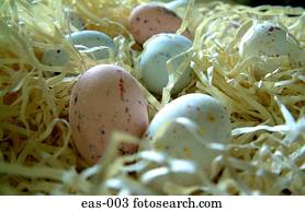 exposição, de, decorado, chocolate ovos páscoa