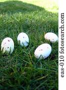 ovos páscoa, ligado, capim