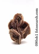 Kristall, Wüste, Blume, Geologie, Objekte