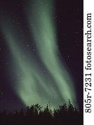 Aurora Borealis, Alaska, USA Aurora Borealis, Alaska, USA