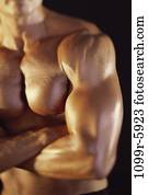people, Hispanic, arms, crossed, commitment, pinup people, Hispanic, arms, crossed, commitment, pinup