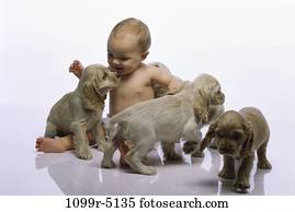people, playing, puppies, baby, pets, playful, amused people, playing, puppies, baby, pets, playful, amused