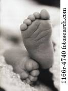 baby, body parts, feet, infant, Body parts feet baby, body parts, feet, infant, Body parts feet