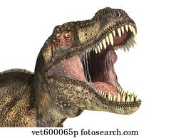 dinosaur with wide head