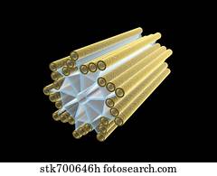 Centriole Clipart and Stock Illustrations. 28 centriole vector EPS ...