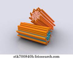 Centriole Clipart and Stock Illustrations. 28 centriole vector EPS ...