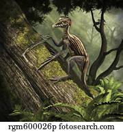 Epidendrosaurus ninchengensis capturing wood worms. Epidendrosaurus ninchengensis capturing wood worms.