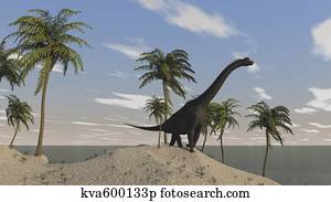 Large Brachiosaurus roaming an tropical climate landscape.