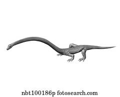 tanystropheus dinosaur