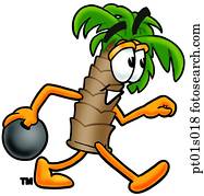 árvore palma, boliche